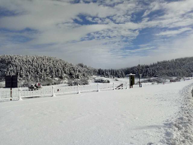 仙女山降今冬第一场雪，积雪厚度达4厘米