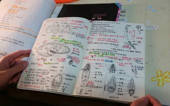 美女学霸绘本笔记走红网友堪称艺术品